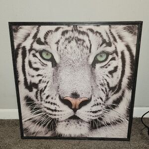 Hobby Lobby Black and White Tiger Face Wall Art with Green Eyes and Pink Nose